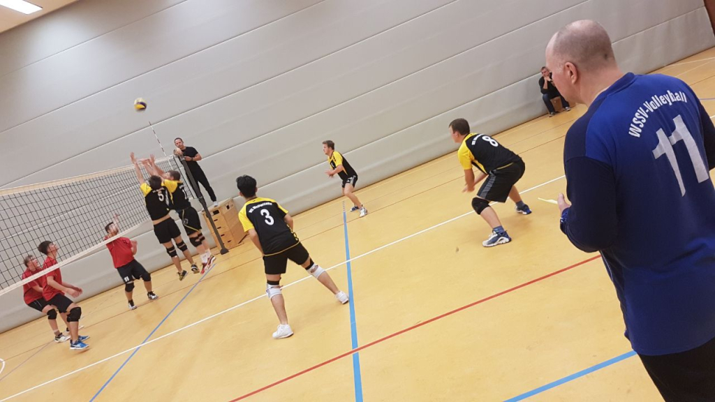 Vfl Westercelle Volleyball